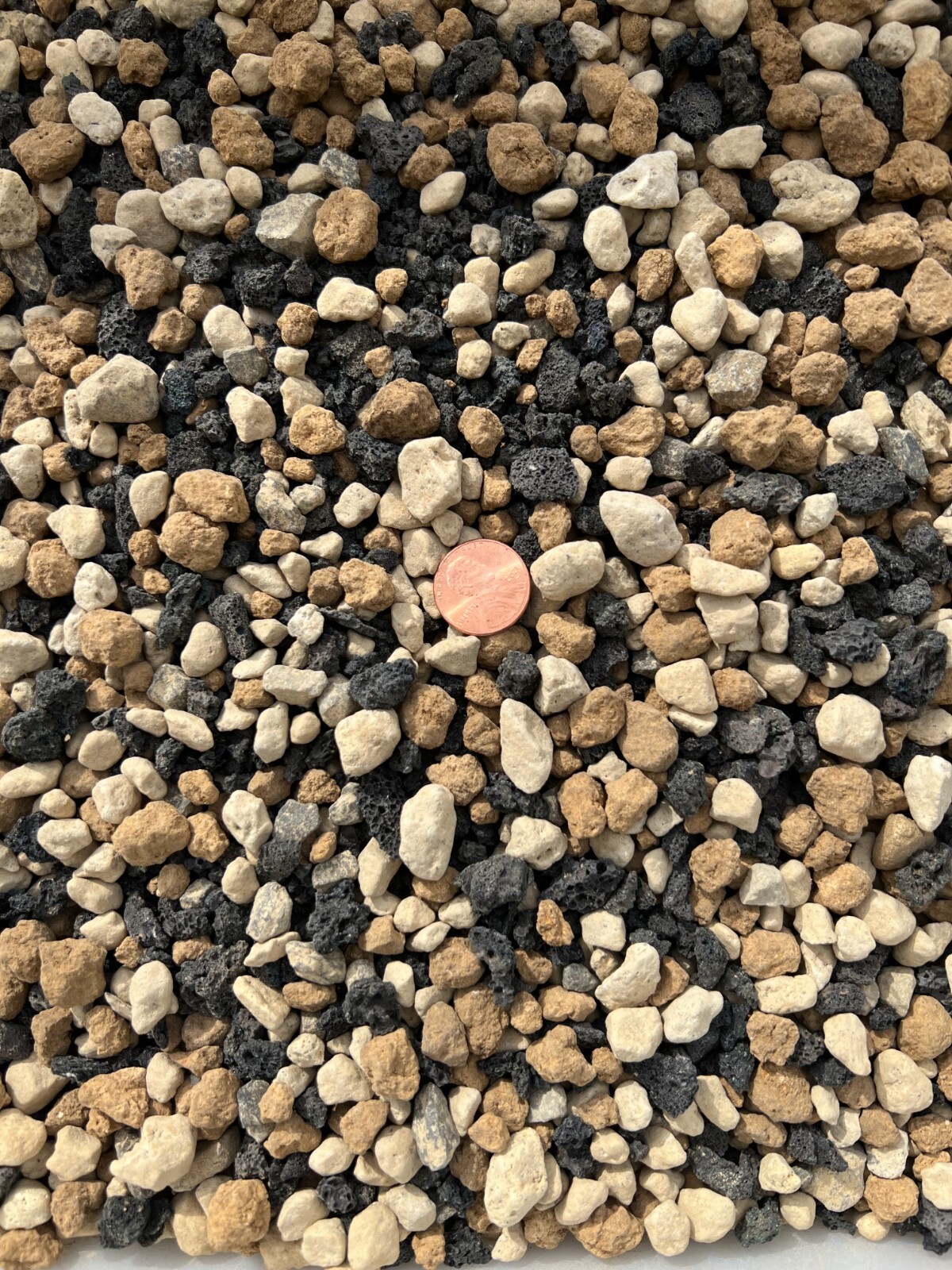 Pre Mixed Large Black Lava, Japanese Akadama, Hyuga for Cactus, Bonsai Tree Soil gallery