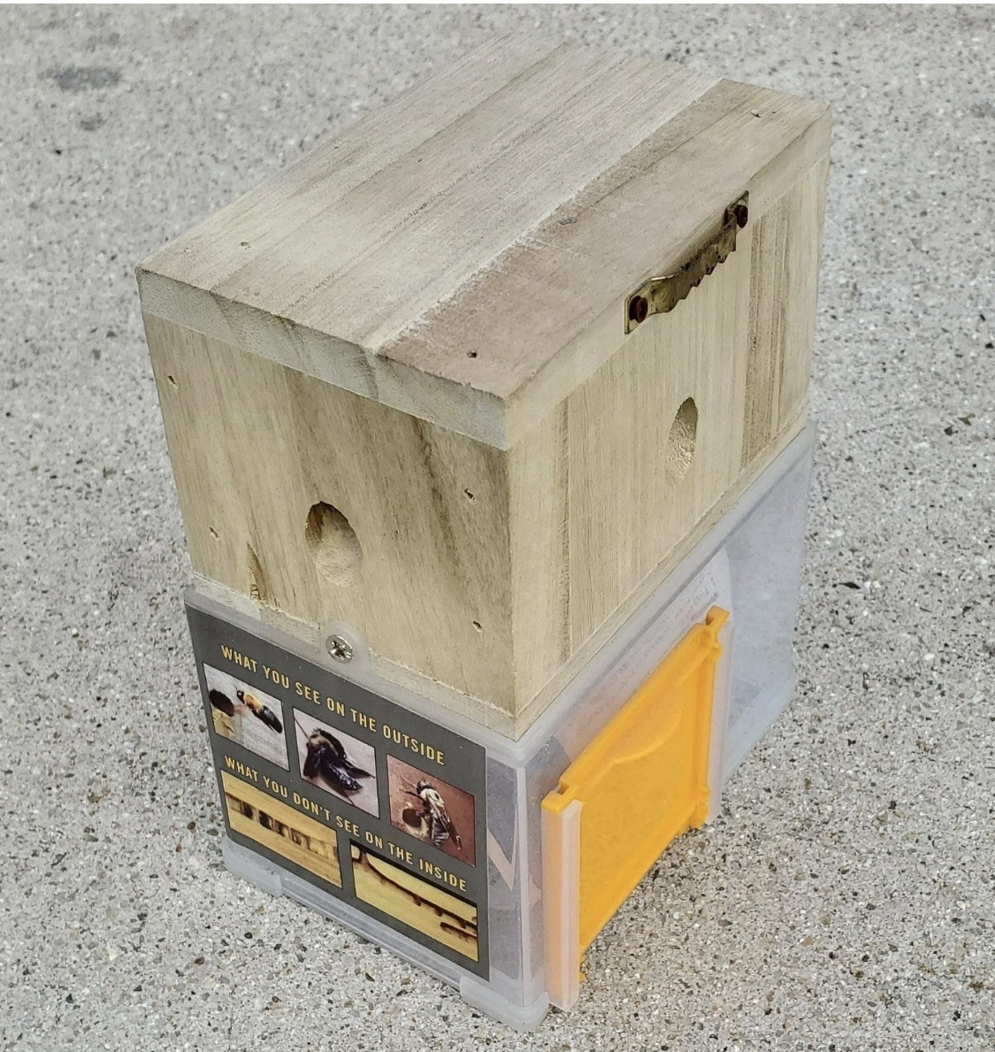 Bees 'N Things Outdoor Carpenter Bee Trap gallery