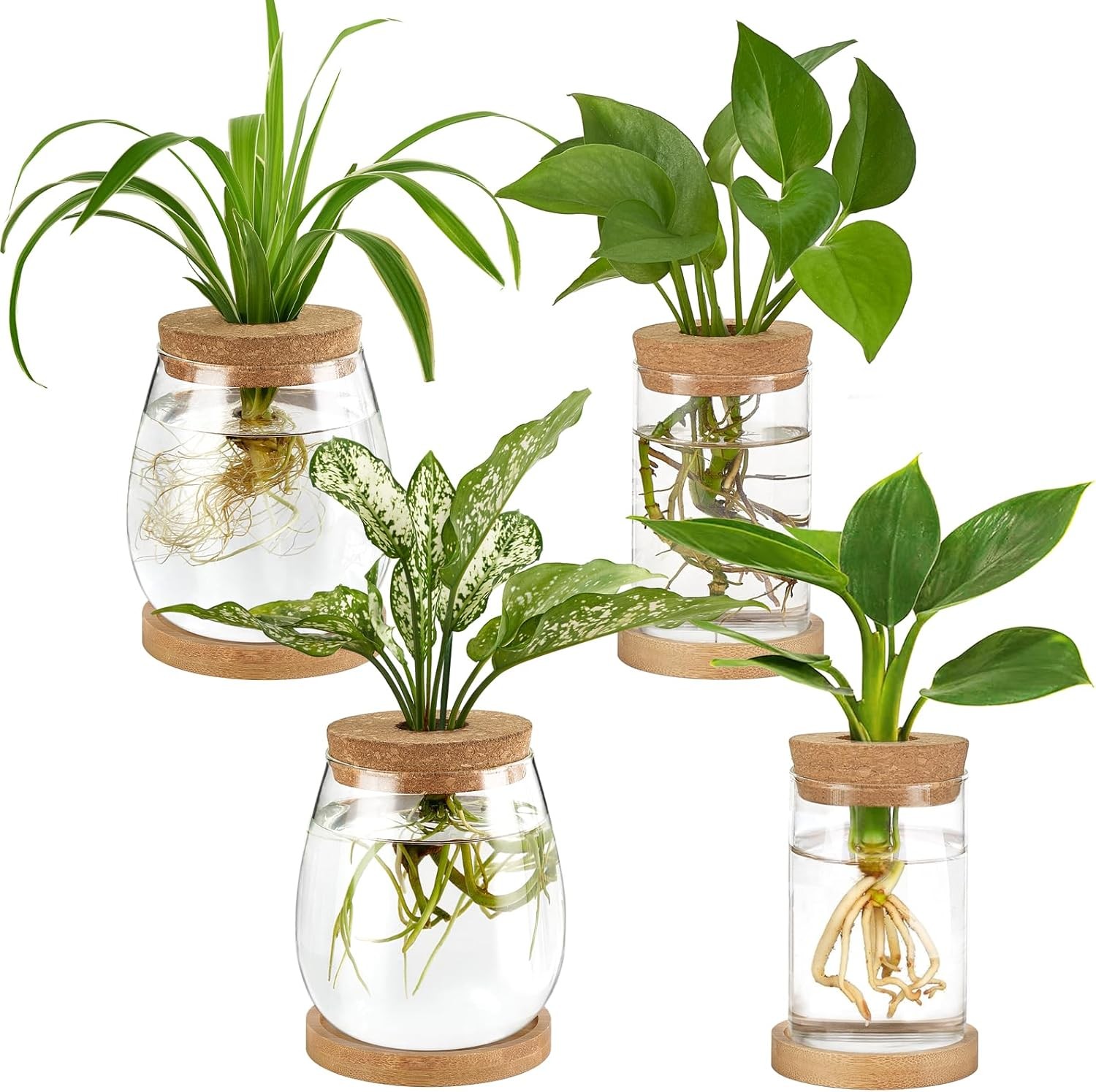 4 Pcs Plant Propagation Stations Desktop Propagated Plant Jars Terrarium Glass gallery