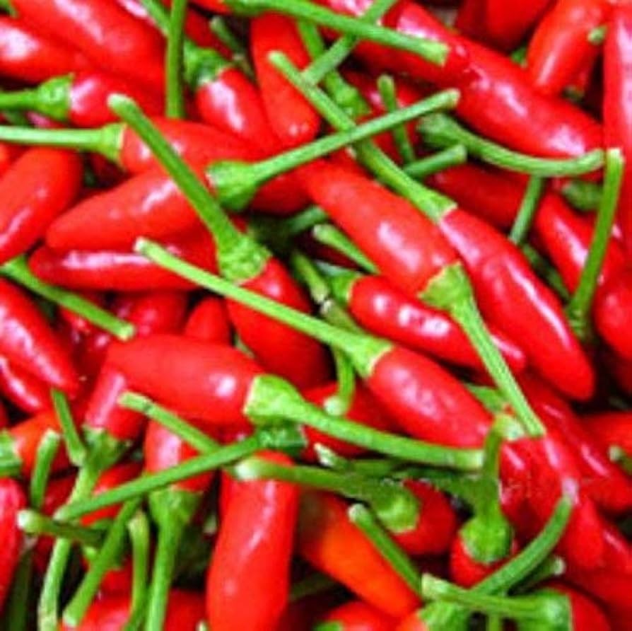Small Red Chile Hot Pepper, Chile de Árbol, Mild Heat, NON-GMO, FREE SHIPPING gallery