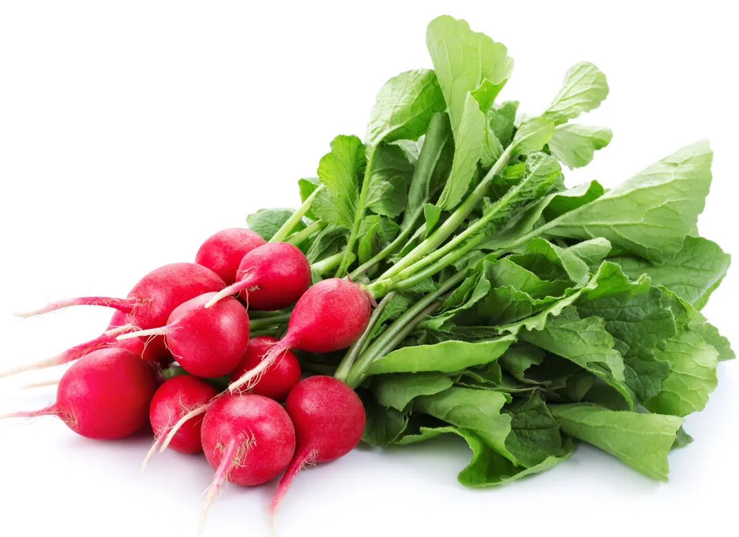 Radish Seeds - Fast Growing Heirloom Non GMO, Free Shipping, Cherry Belle gallery