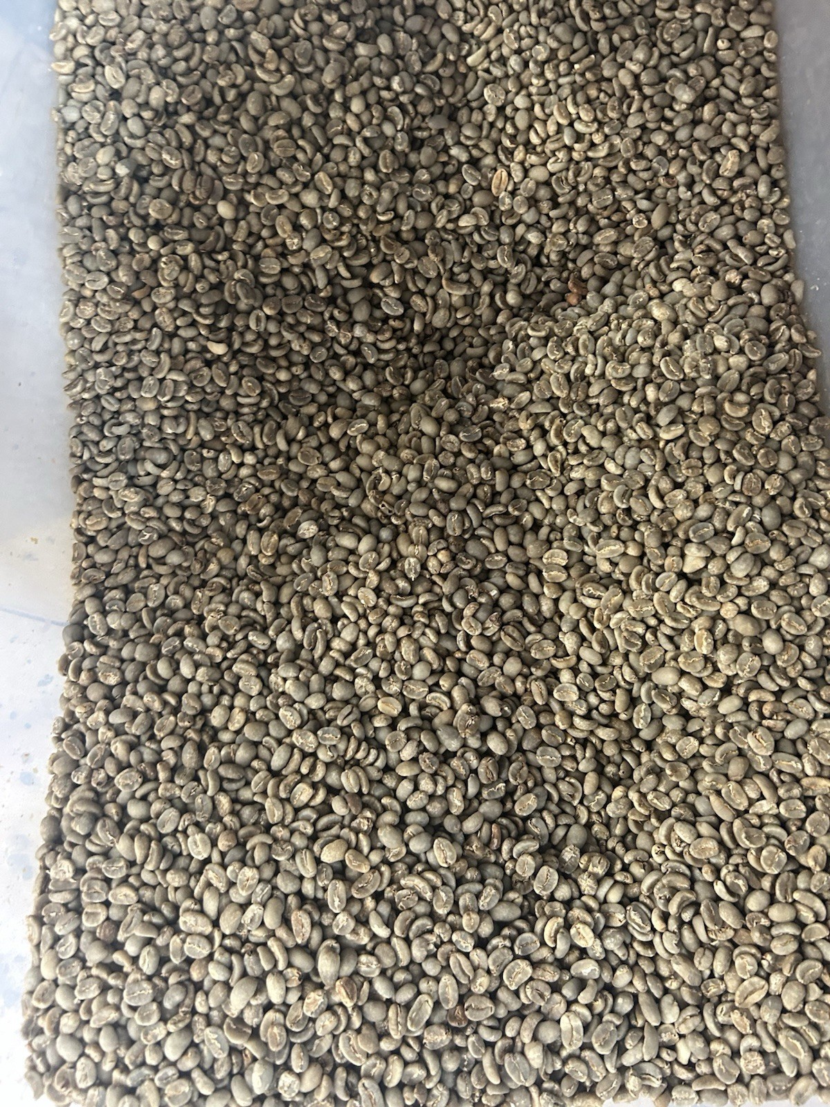 25 LBS Green Vietnam Robusta Coffee gallery