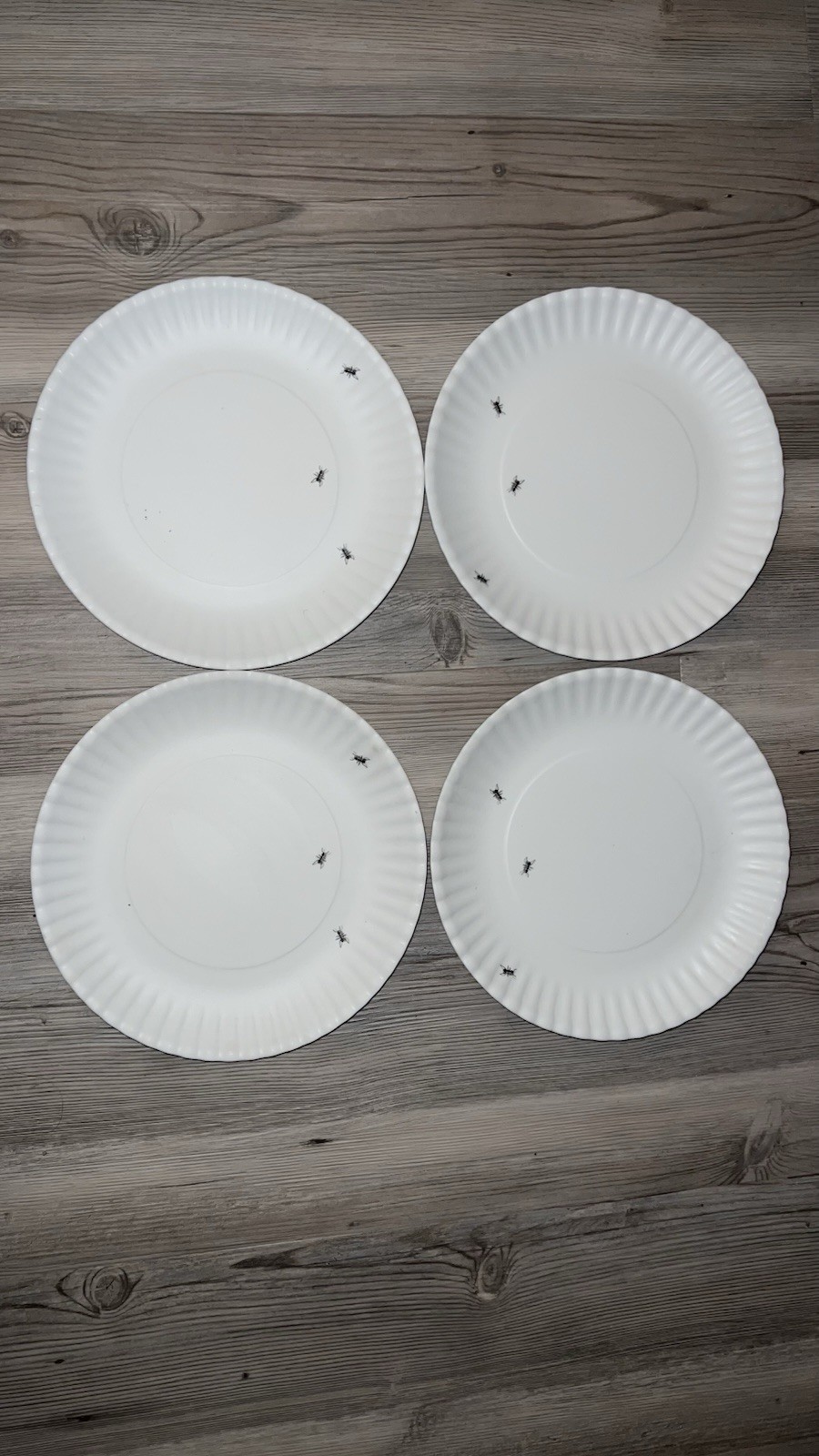 180 Degrees Reusable Melamine "Paper Plate Look" 8.75” Dinner Plates gallery