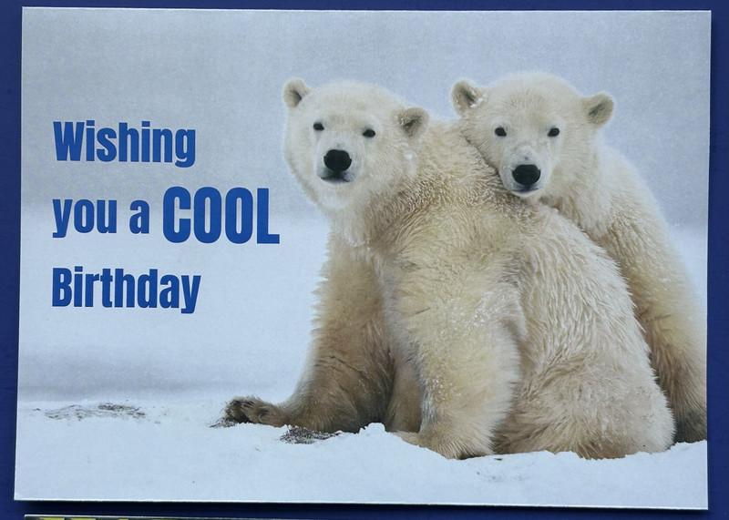 11 DIFFRENT DESIGNED ANIMAL BIRTHDAY CARDS, ASSORTED THEMES + ENVELOPES, gallery