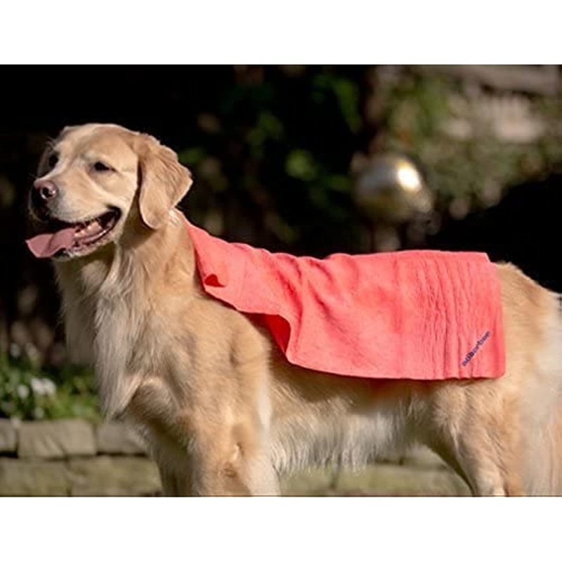 CleanTools The Absorber Synthetic Premium Drying Chamois Cloth for Car: Super gallery