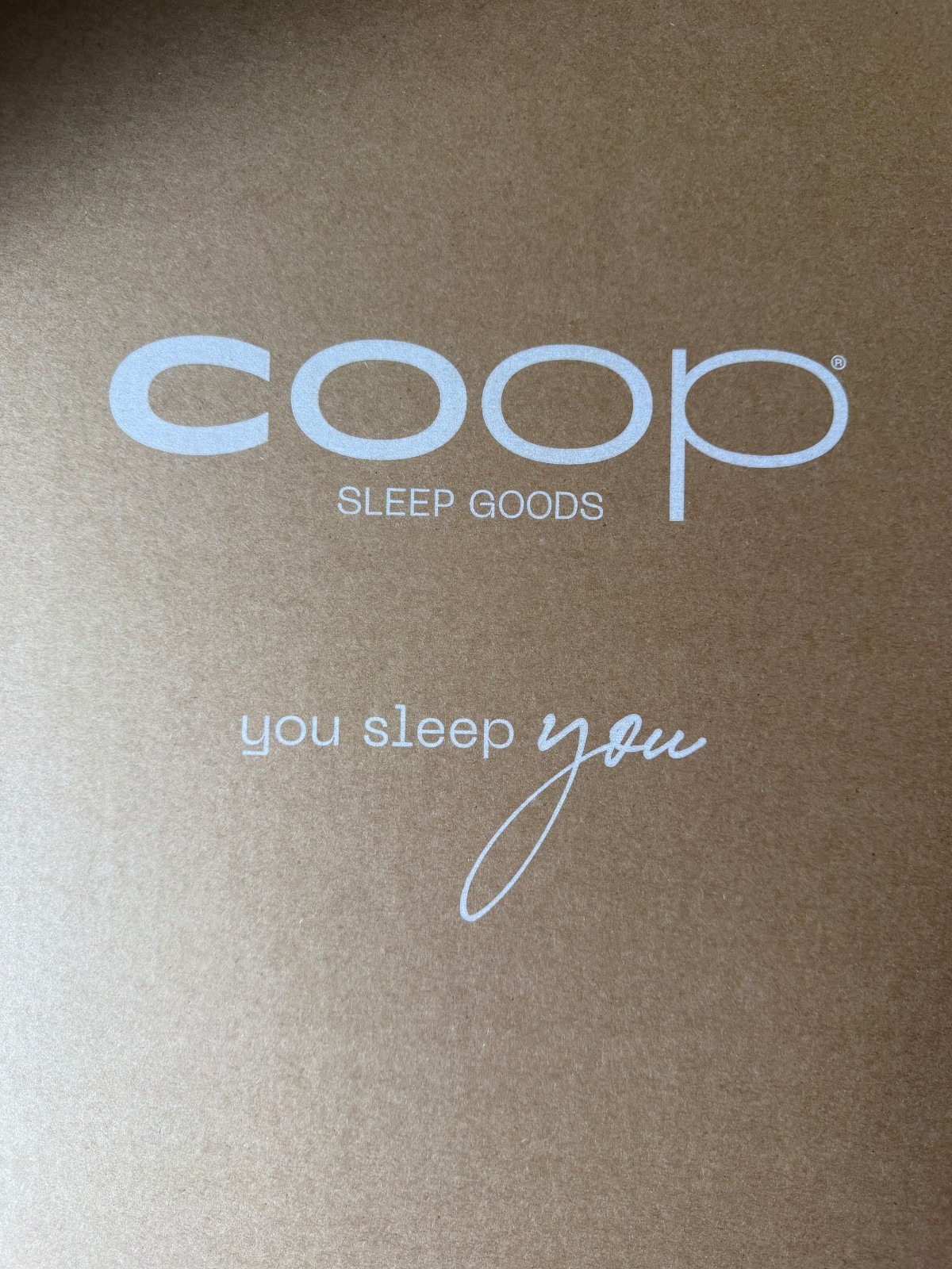 Coop Sleep Goods The EthoSource Queen Adjustable Pillow (19x29in) gallery