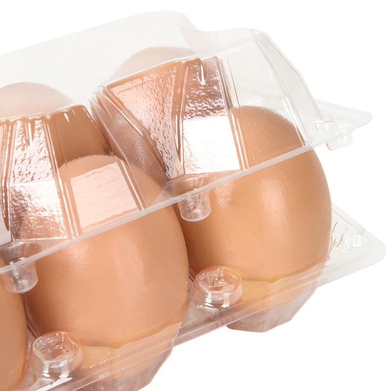 100 Pack Plastic Egg Cartons Bulk, 2x3 Egg Holders Style Holds up for 6 Eggs,... gallery