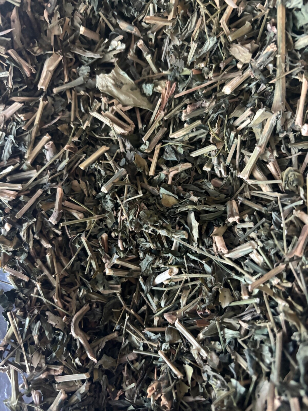 Andrographis Paniculata - 2 oz . King of Bitters High Quality Thailand Herb gallery