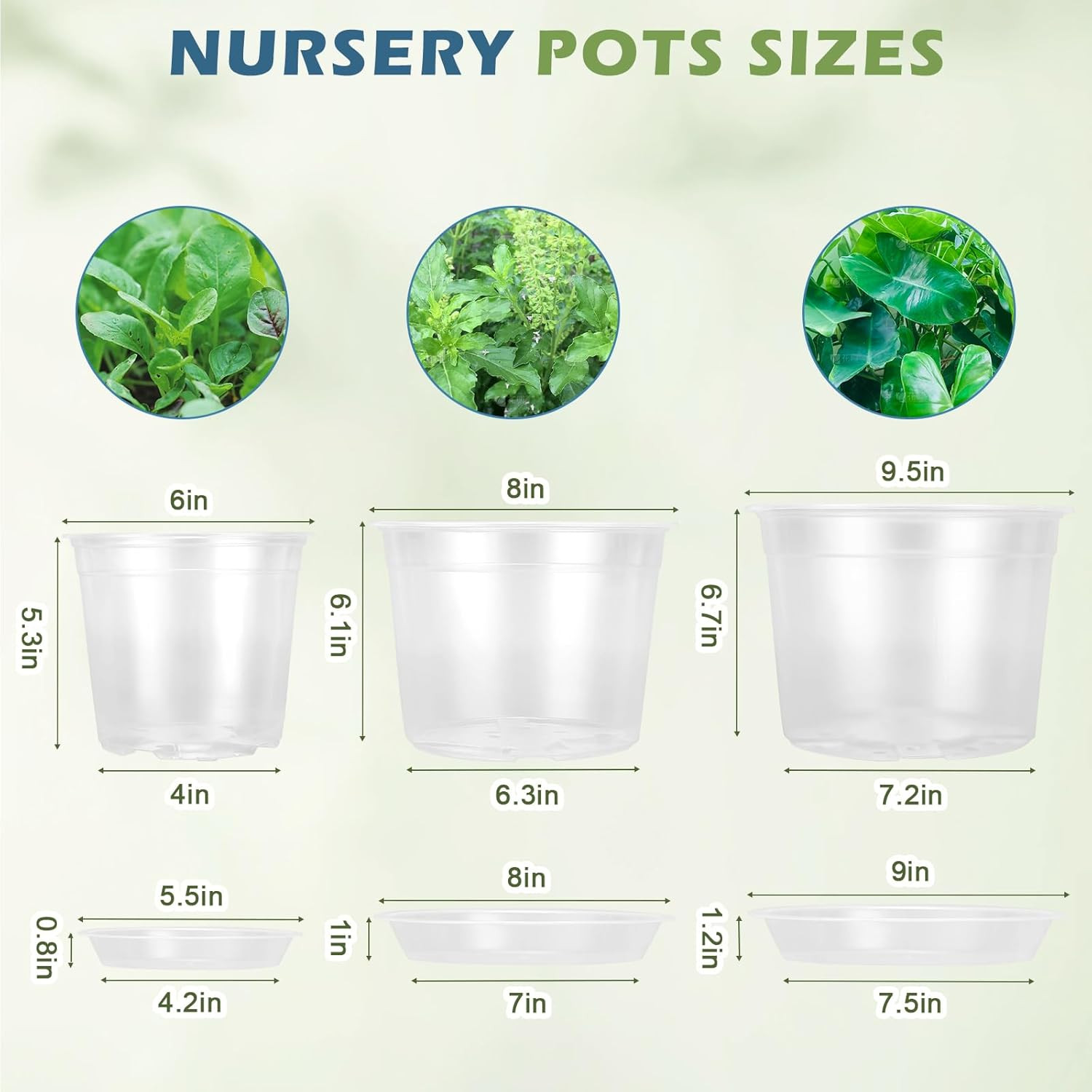 5 Packs 10 Inch Large Clear Nursery Pots with Drainage Hole and Saucers, Plastic gallery