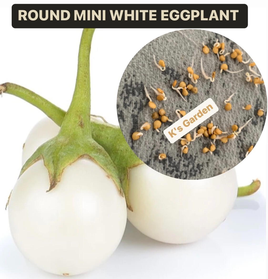 100+PCS WHITE ROUND EGGPLANT SEEDS, CÀ PHÁO TRẮNG gallery