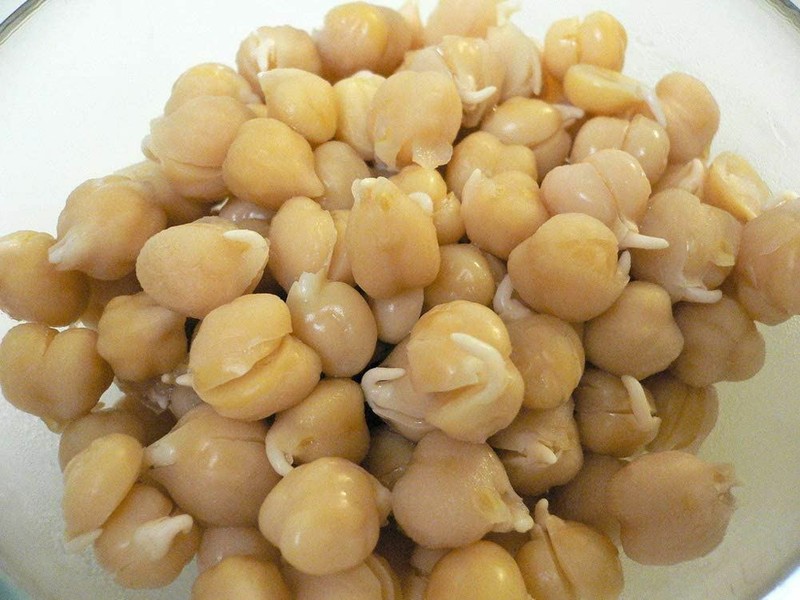 Peyton's protein mix seeds for sprouting microgreens "Cool Beans N Sprouts". gallery