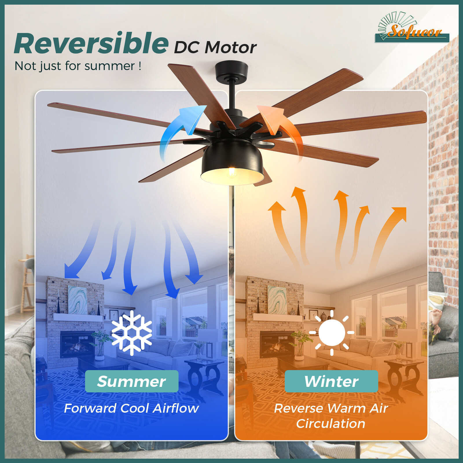 Modern Ceiling Fan with 8 Dual-Color Blades 6-Speed Remote Reversible DC Bedroom gallery