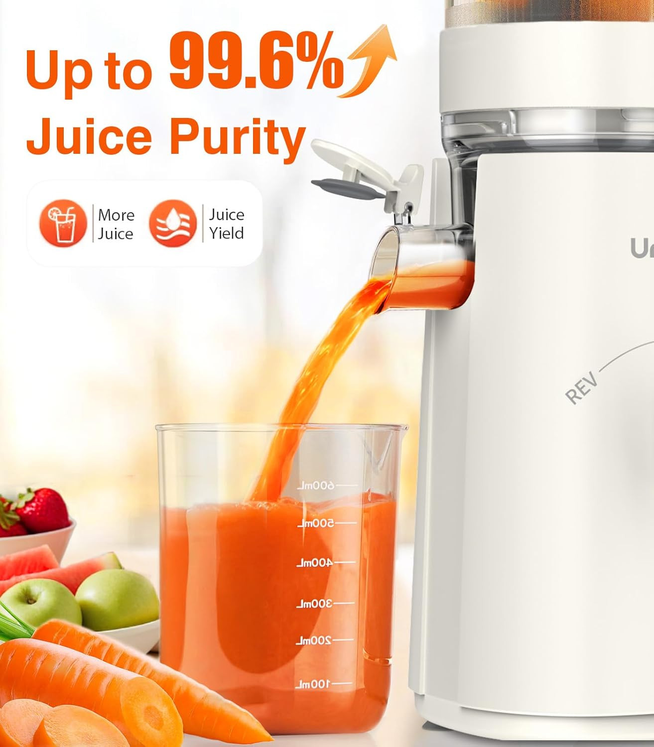 Juicer Machines, 2-In-1 Cold Press Juicer for Juice & Sorbet, Suit for Vegetable gallery
