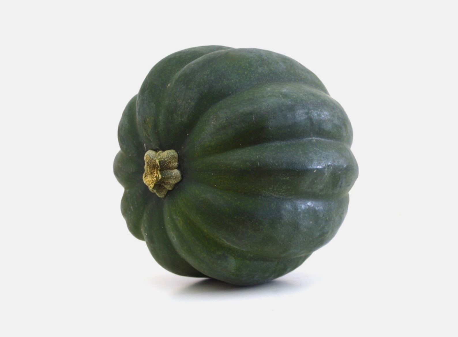 Fresh Table Queen Acorn Squash Seeds, Winter Organic Heirloom, 2026 🇺🇸U.S.A. gallery