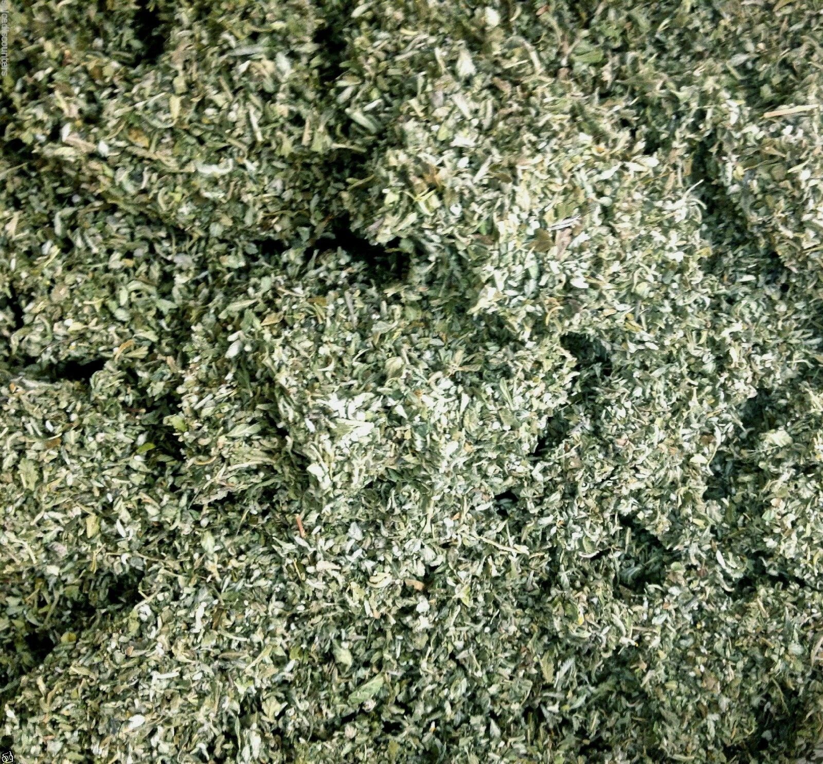 DAMIANA wildcrafted bulk cut c/s leaf -get high quality pungent herb -1 lb pound gallery