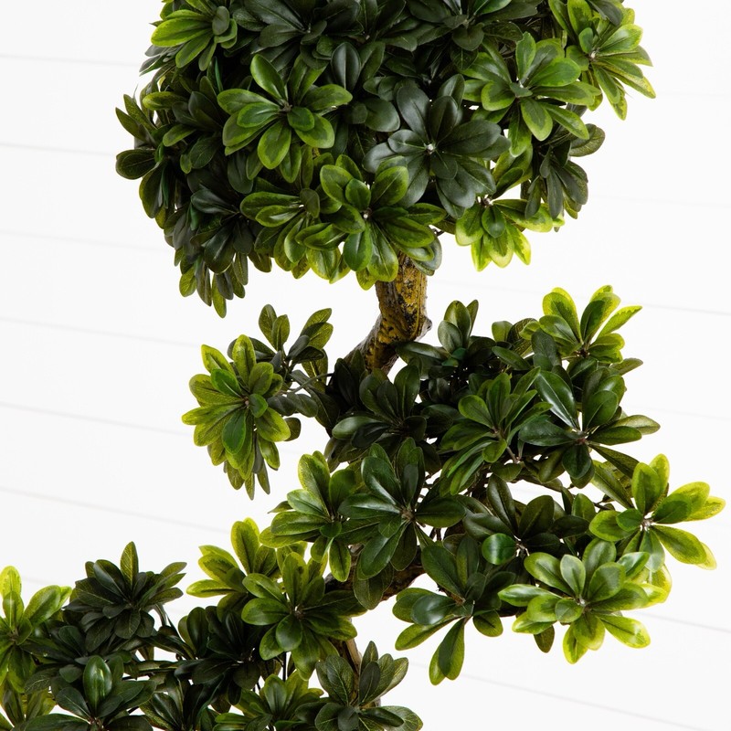5’ Artificial Pittispourm Tree UV (Indoor/Outdoor) Home Decor. Retail $324 gallery