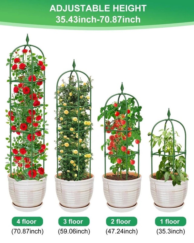 2-Pack 6FT Rustproof Garden Trellis for Climbing Plants - Heavy-Duty Support gallery