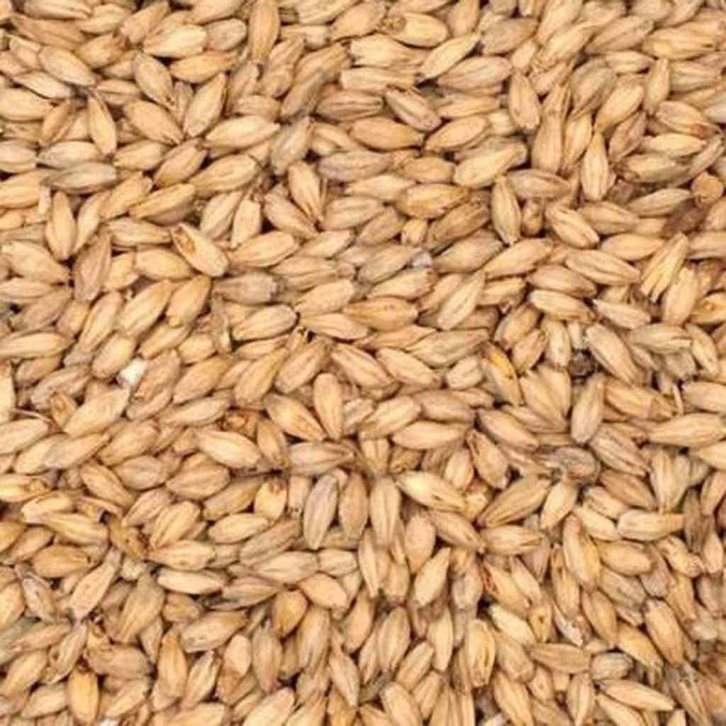 Rahr 6-Row Malt 1-2 lbs. - crushed or uncrushed -Freshest malts on eBay! gallery