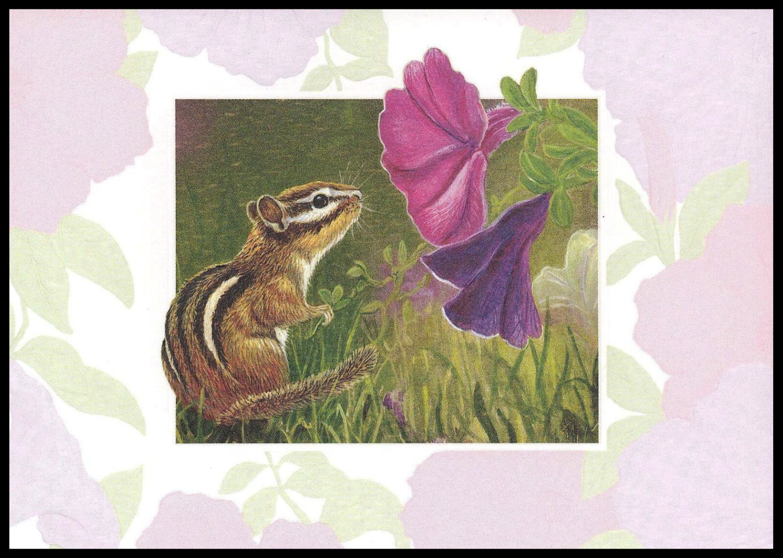 Greeting Card - Chipmunk - Carol Decker - Any Occasion 0777 gallery