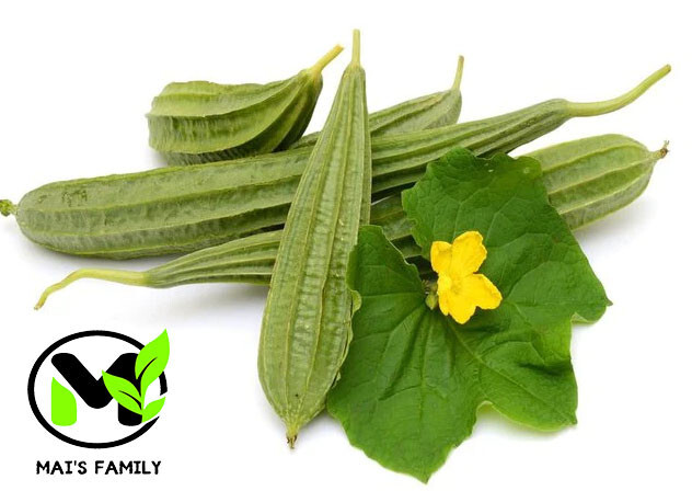 Angled Luffa Seeds - Ridged Sponge Gourd Mướp Khía USA gallery