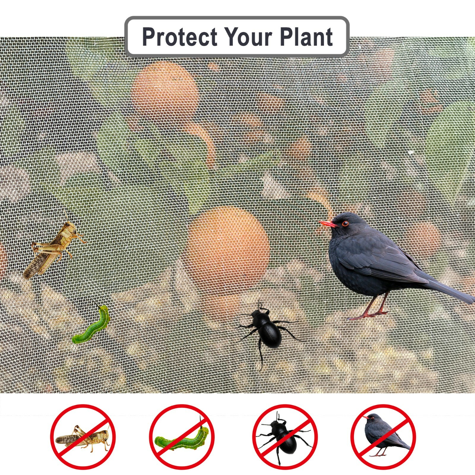 Bird Bug Net Mosquito Net Fine Mesh Screen Fruit Vegetable Citrus Pond/Leaf Net gallery