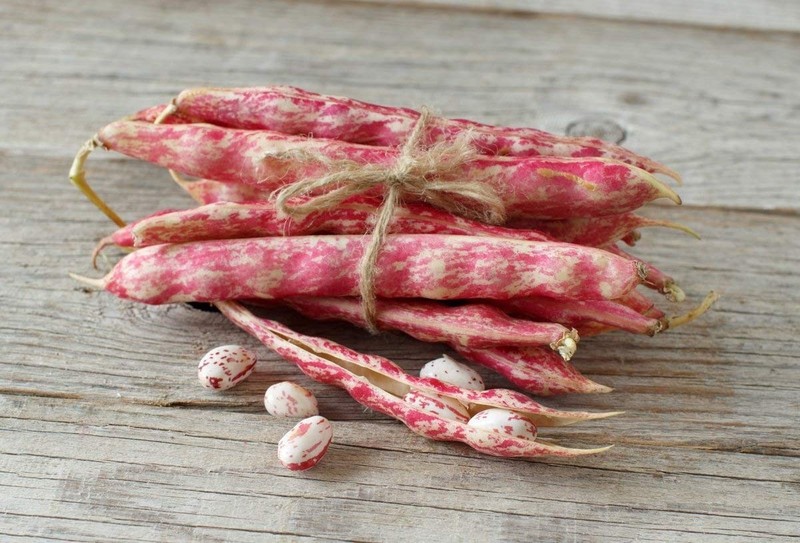 Cranberry Beans - Sproutable, Kosher, Raw, Vegan - by Food To Live gallery
