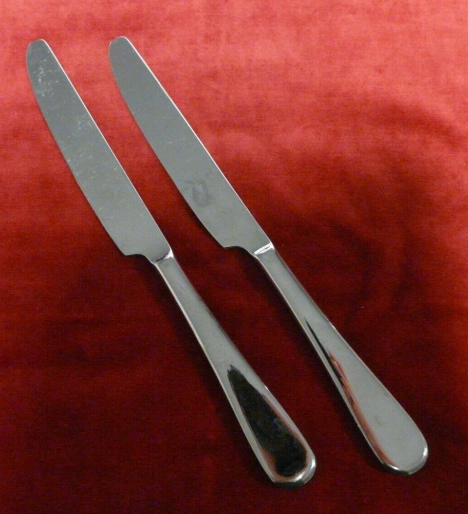 2 Dinner Knives Oneida ICARUS Stainless Glossy Silverware Flatware 9 1/2"