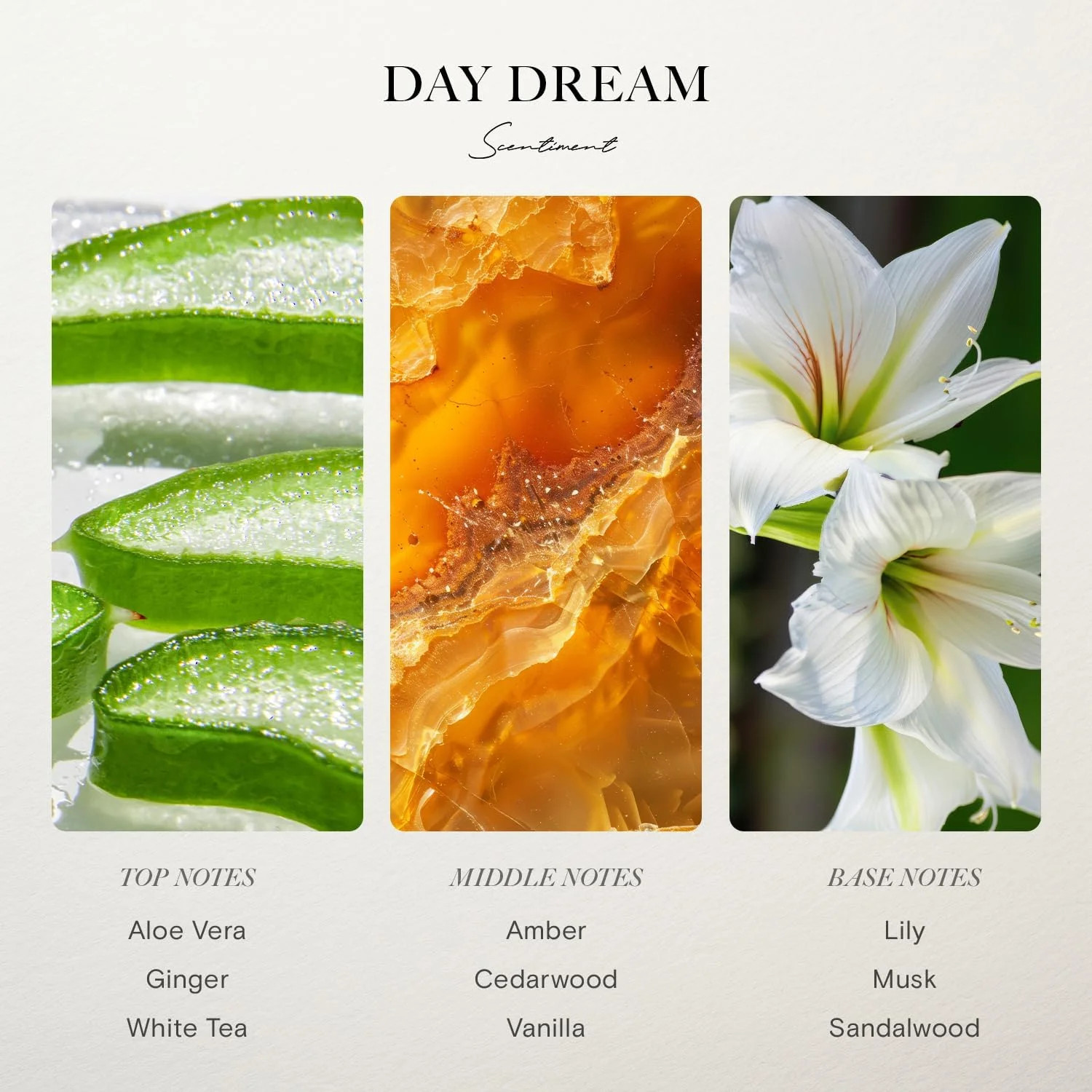 Scentiment Day Dream Diffuser Oil - Aloe Vera, Cedar, White Tea Scent for Diffus gallery