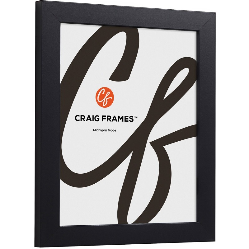 Craig Frames Essentials, 1" Wide Modern Simple Black Picture Frame With a Mat gallery