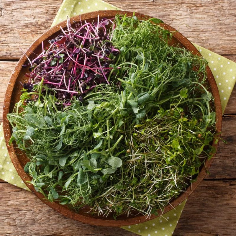 Microgreens Variety Pack (10 Varieties, 2 LBS+, Cabbage, Broccoli, Beet, Radish, gallery