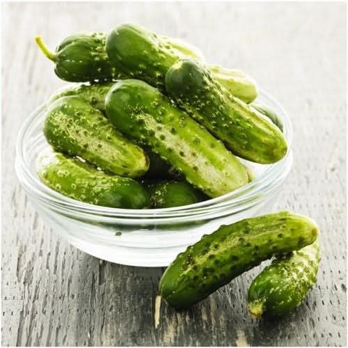 Boston Pickling Cucumber Seeds For Planting (Cucumis sativus) gallery