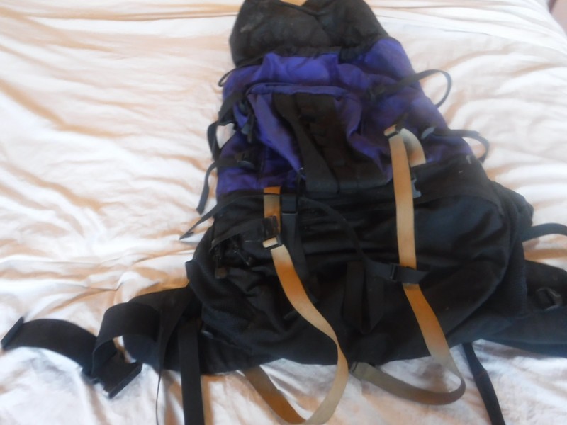 EMS Black And Blue Hiking Back Pack Pre Owned 4