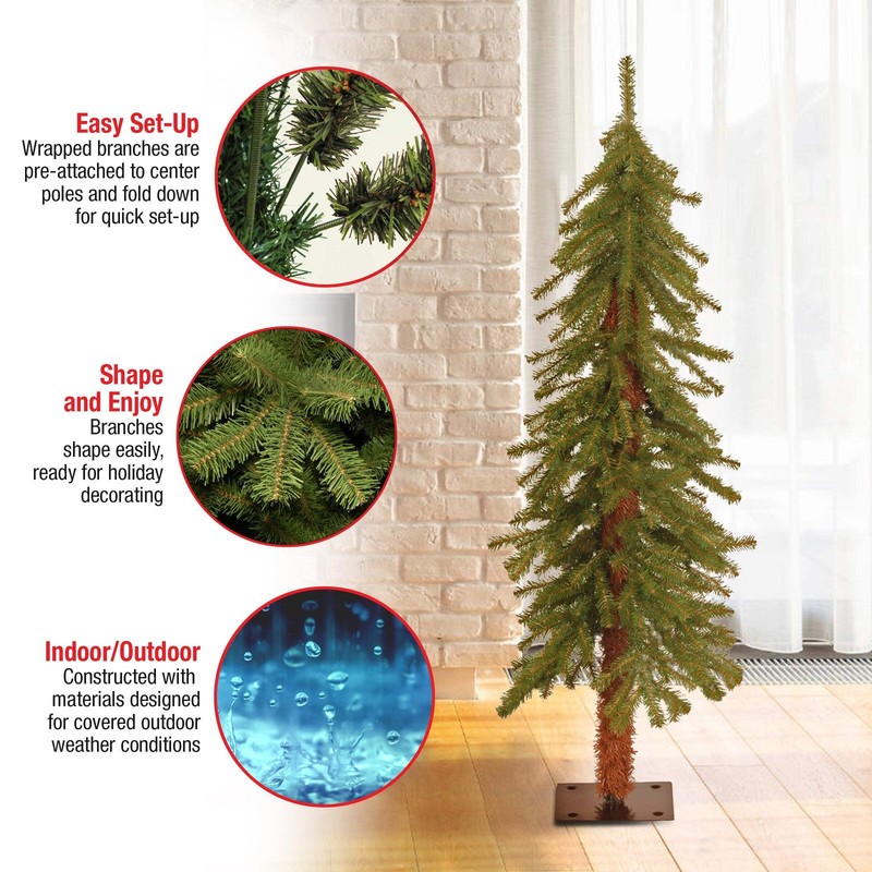 4 ft. Hickory Cedar Tree gallery