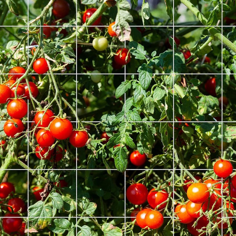 Seedfactor Plant Trellis Netting Garden HeavyDuty Polyester Grow Net +SquareMesh gallery
