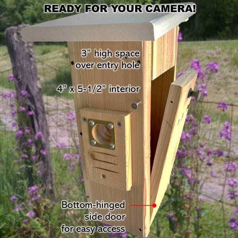 Camera-Ready Bluebird House | Cedar | Insulated | Predator Guard | Weatherproof gallery