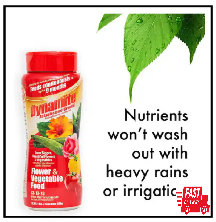 Dynamite 1 lb. All-Purpose Flower and Vegetables Plant Food gallery