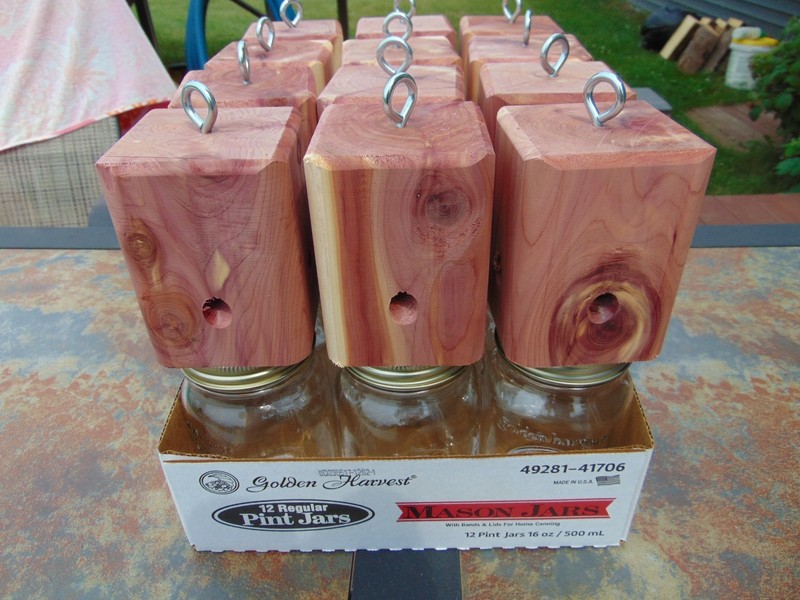 12 Red Cedar carpenter bee-bore cedar traps FREE SHIPPING gallery