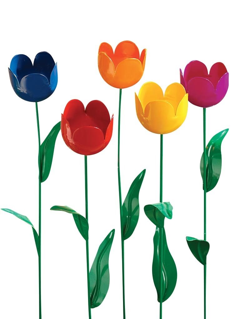 Fox Valley Traders Miles Kimball Varying Colors One Size Fits All, Multicolor gallery