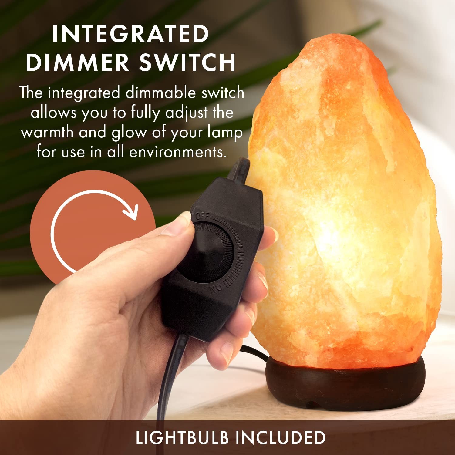 The Body Source Himalayan Salt Rock Lamp | 6-8 Inch (4-7 lb) | Natural Salt R... gallery