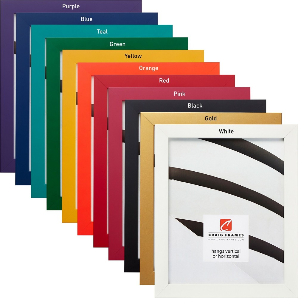 Craig Frames Confetti Primary, .875" Wide Modern Picture Frame, Various Colors
