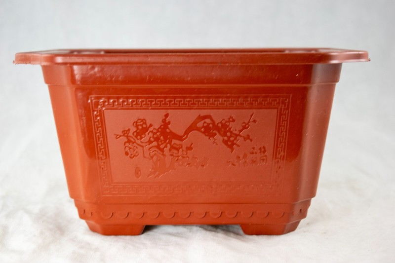Rectangular Plastic Cactus & Succulent, Bonsai Training Tall Pot 7.25" to 17.5" gallery