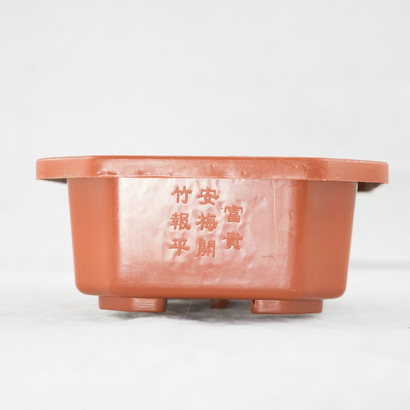 24 Rectangular Plastic Bonsai Training Pot, Succulent Planter - 6.25"x 4.5"x 2" gallery