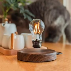 Levitating Moon Lamp Magnetic Floating 3D LED Night Light 3 Color Modes Wooden