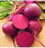 Detroit Dark Red Beet Seeds NON-GMO 100+ SEEDS --BUY 4 ITEMS FREE SHIPPING gallery