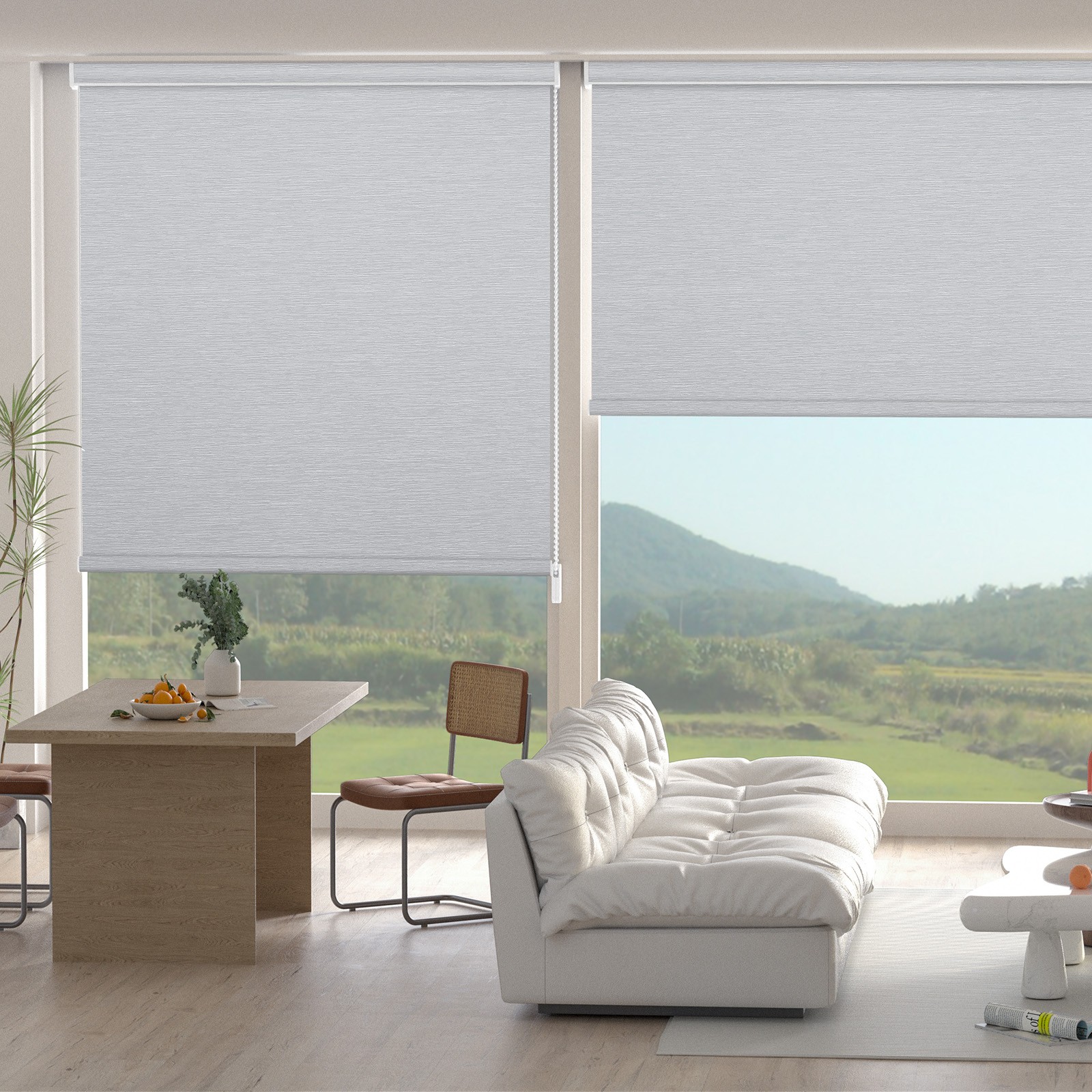 Changshade CUSTOM SIZE Blackout Window Blinds Roller Shades Corded Blind gallery
