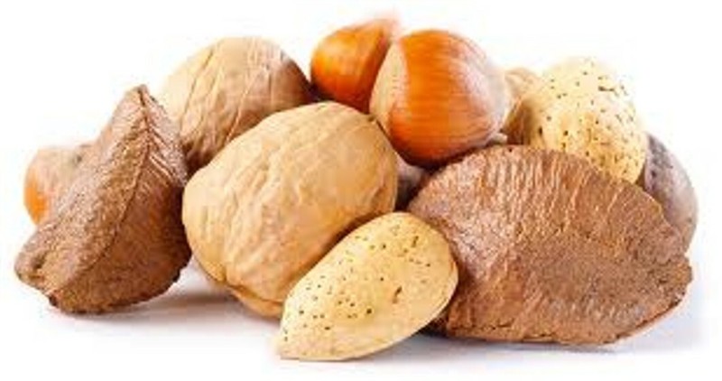 COMBO TWIN PACK - 2/2 lb. - Treasured Harvest - In-Shell Walnuts/Mixed Nuts gallery