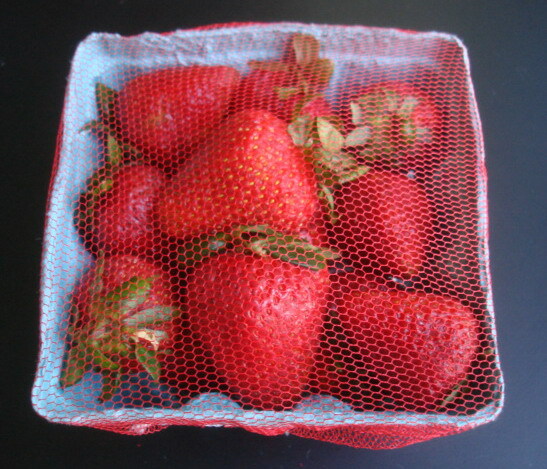 100 pcs Mesh Breathable Protective Netting for Berry Baskets Produce gallery