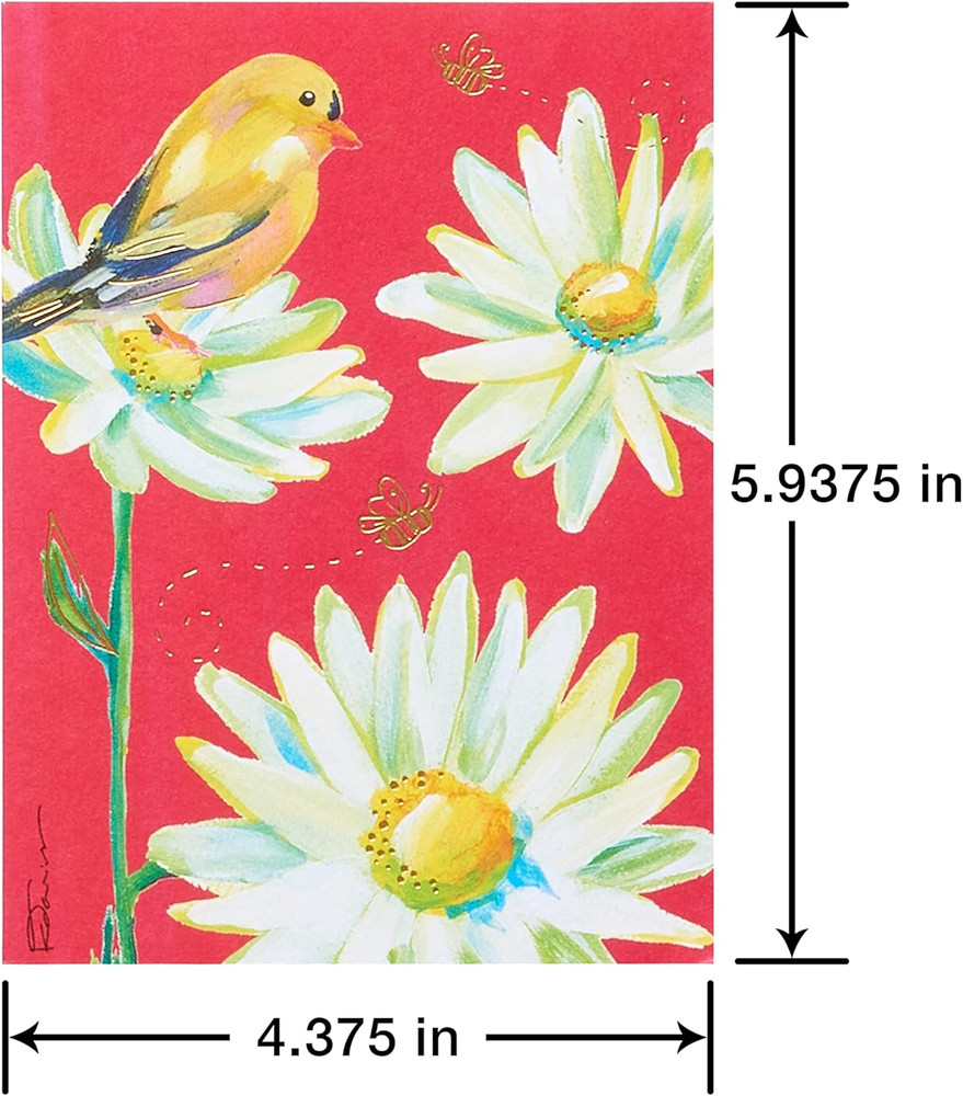 All Occasion Card Bundle, Kathy Davis Designs (40-count)
