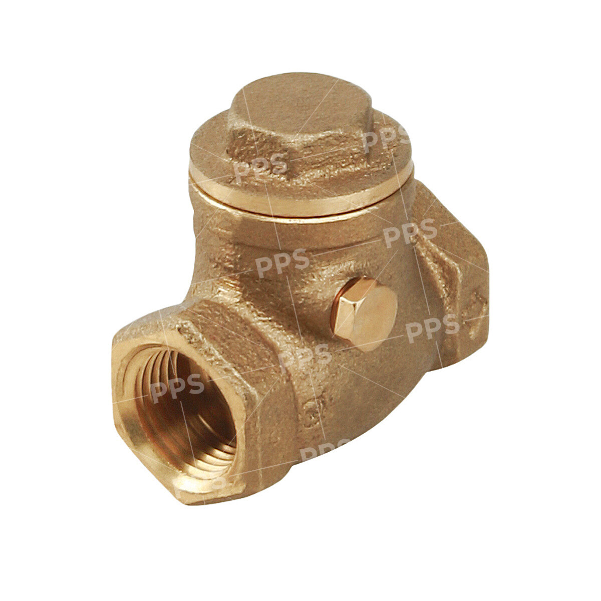 FIP Brass Swing Check Valve Connections Threaded Plumbing Fitting 1/2"in-4"in gallery
