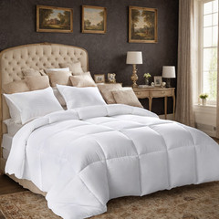 White Down Alternative Comforter All Season Machine Washable Breathable Queen